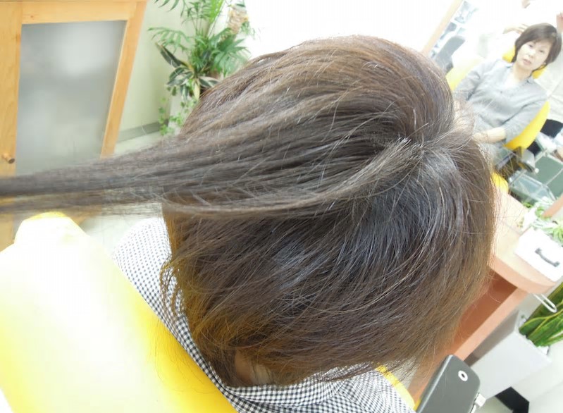 増毛の価値はどこにあるのか